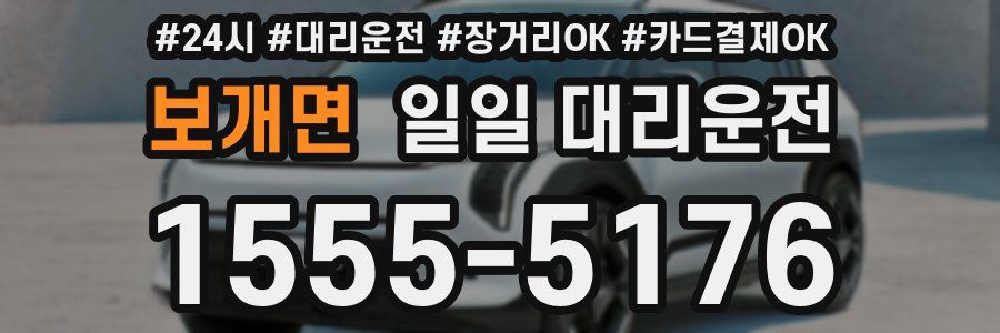 보개면 일일 대리운전