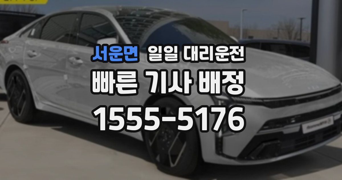 서운면 일일 대리운전