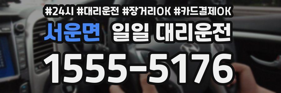 서운면 일일 대리운전