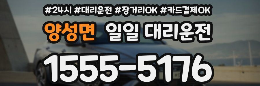 양성면 일일 대리운전