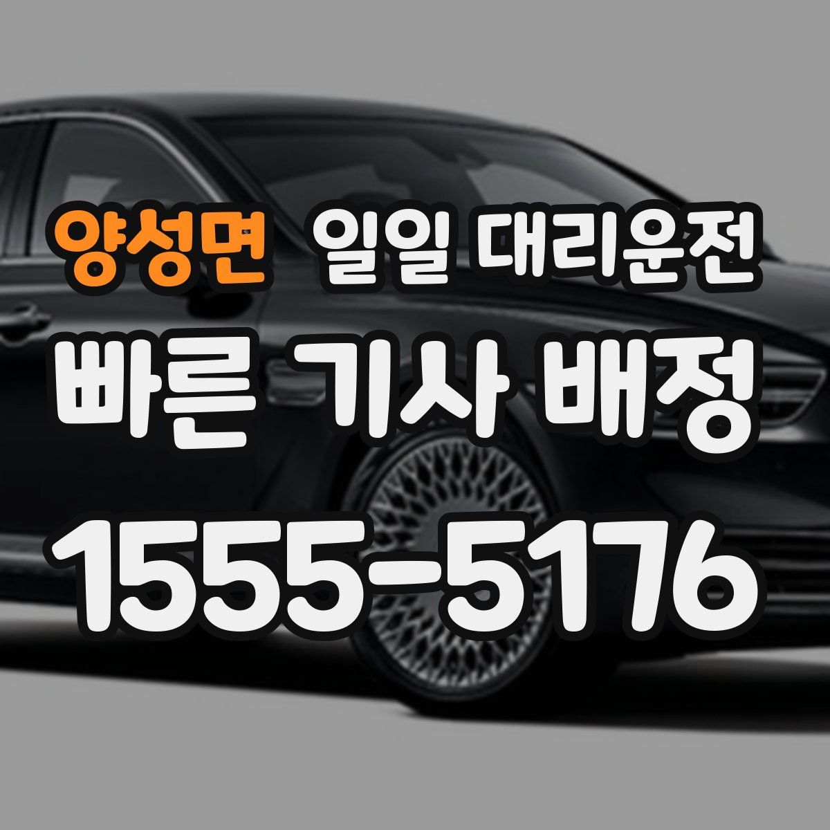 양성면 일일 대리운전