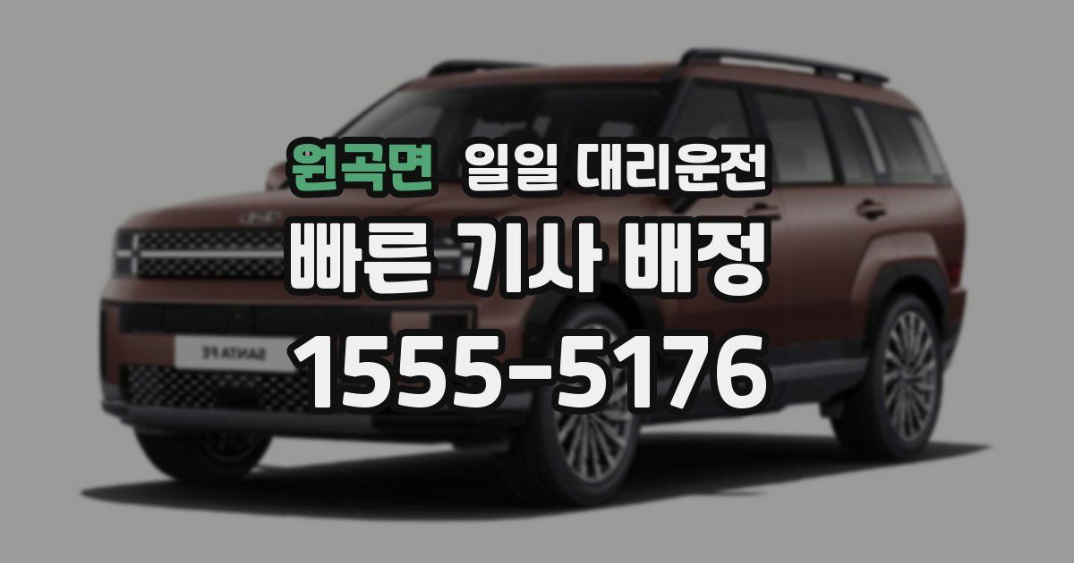 원곡면 일일 대리운전