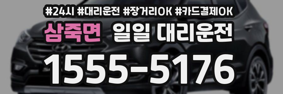 삼죽면 일일 대리운전