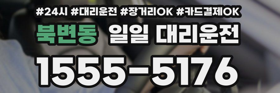 북변동 일일 대리운전