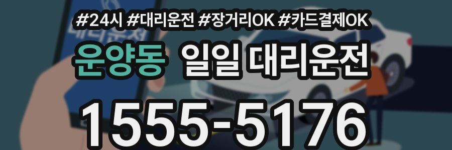 운양동 일일 대리운전