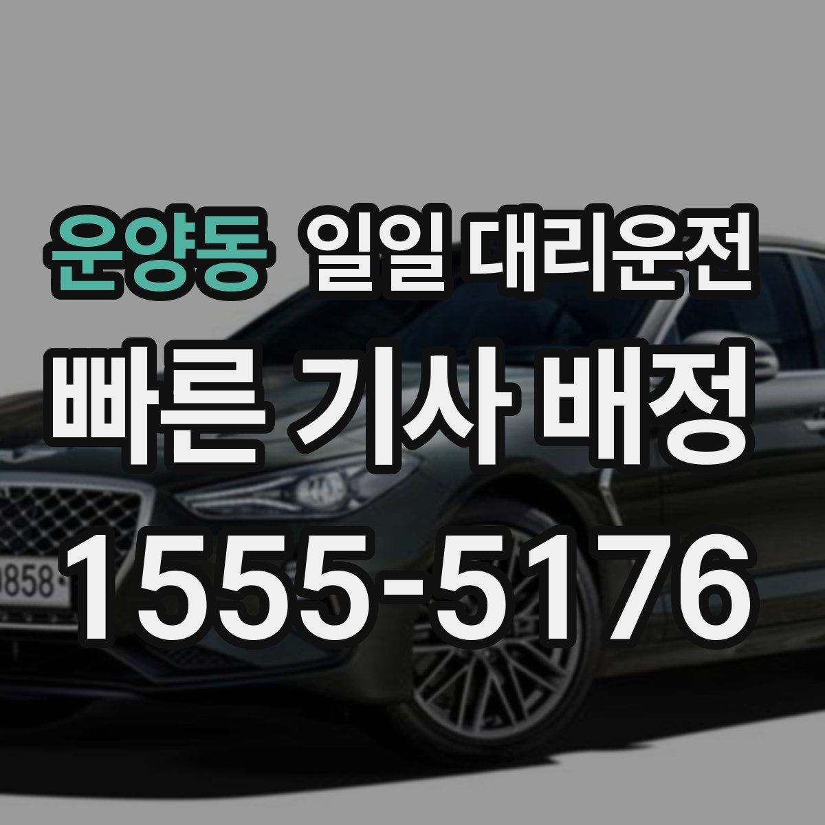 운양동 일일 대리운전