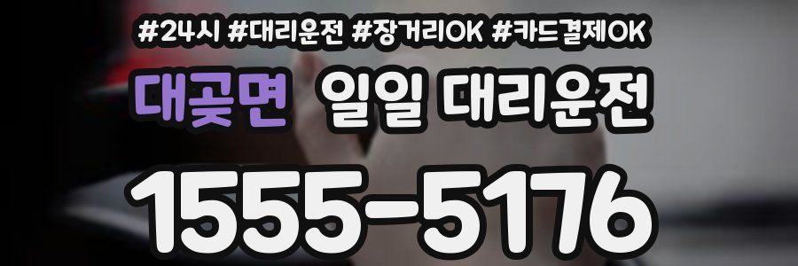 대곶면 일일 대리운전