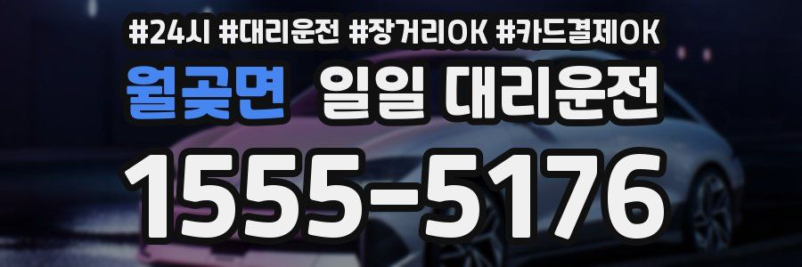 월곶면 일일 대리운전