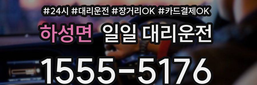 하성면 일일 대리운전