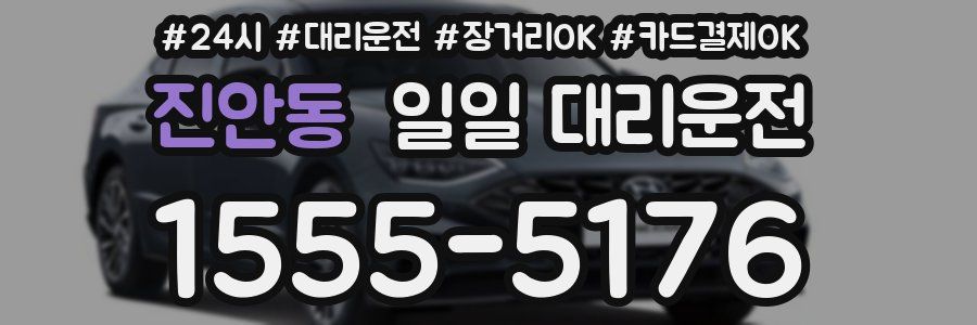 진안동 일일 대리운전