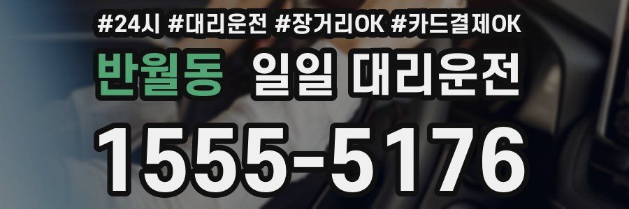 반월동 일일 대리운전