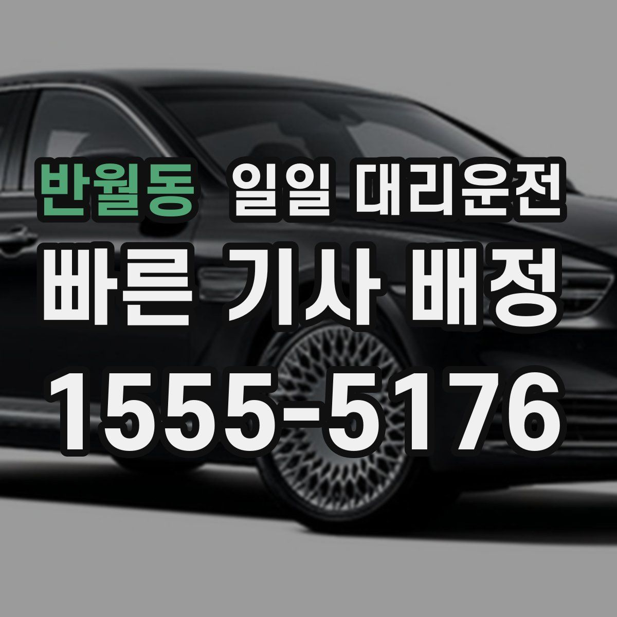 반월동 일일 대리운전