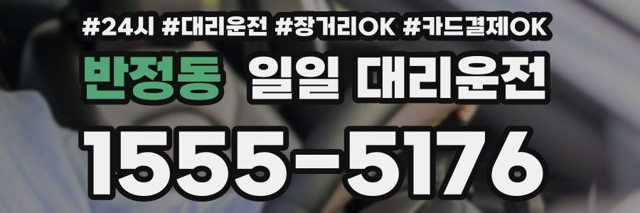 반정동 일일 대리운전