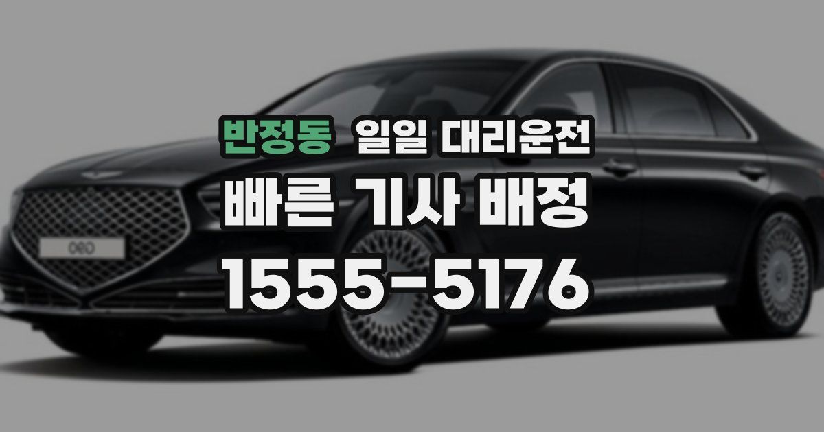 반정동 일일 대리운전