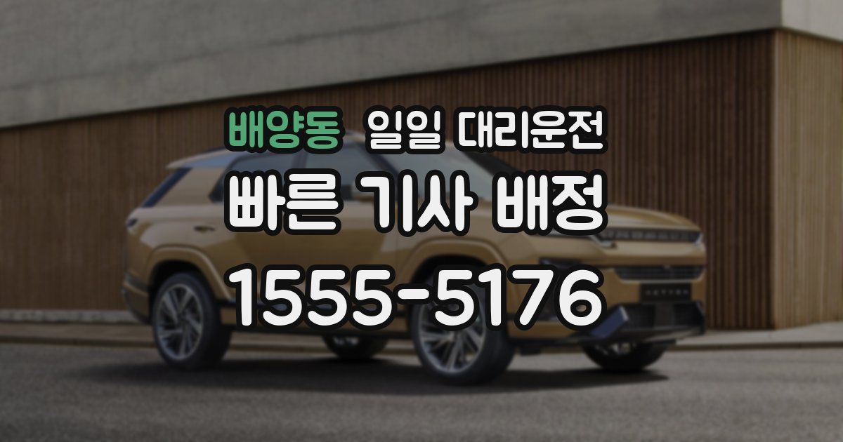 배양동 일일 대리운전