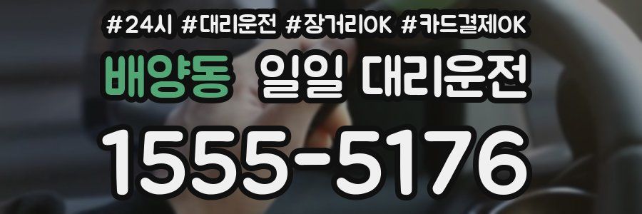 배양동 일일 대리운전
