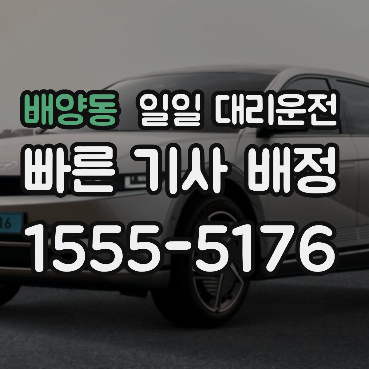 배양동 일일 대리운전