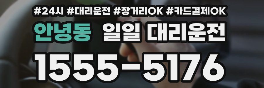 안녕동 일일 대리운전