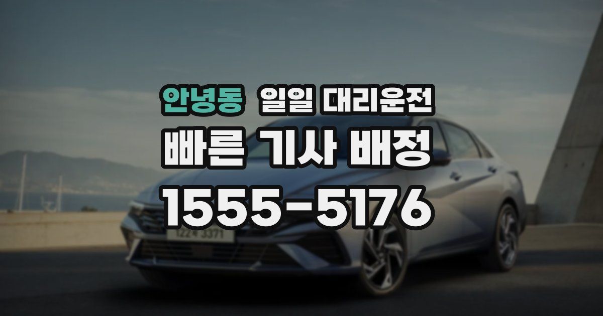 안녕동 일일 대리운전
