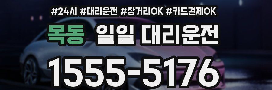 목동 일일 대리운전