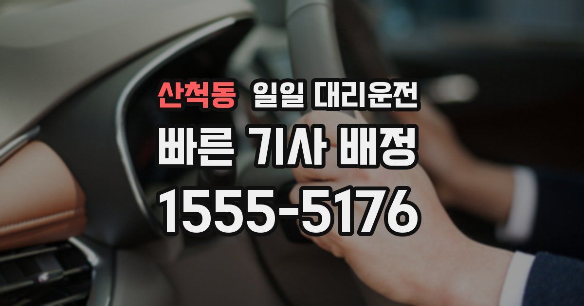 산척동 일일 대리운전