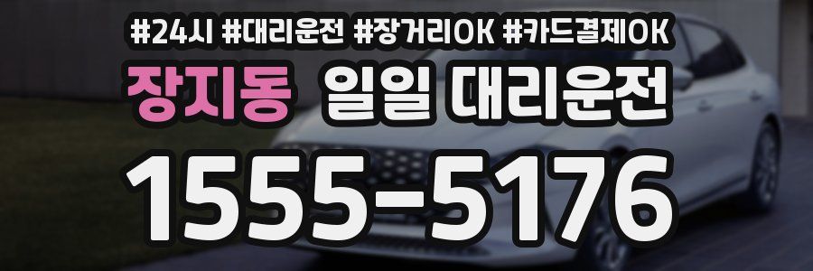 장지동 일일 대리운전