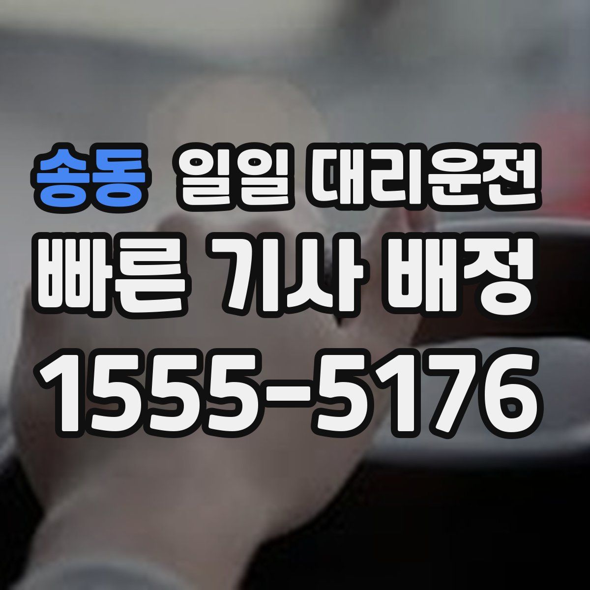 송동 일일 대리운전
