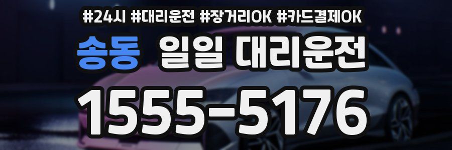 송동 일일 대리운전