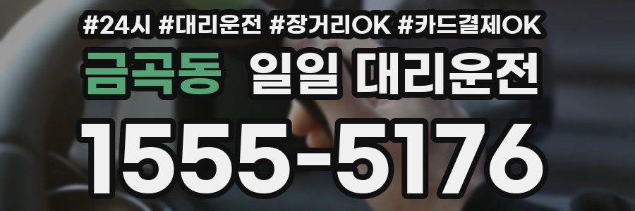 금곡동 일일 대리운전