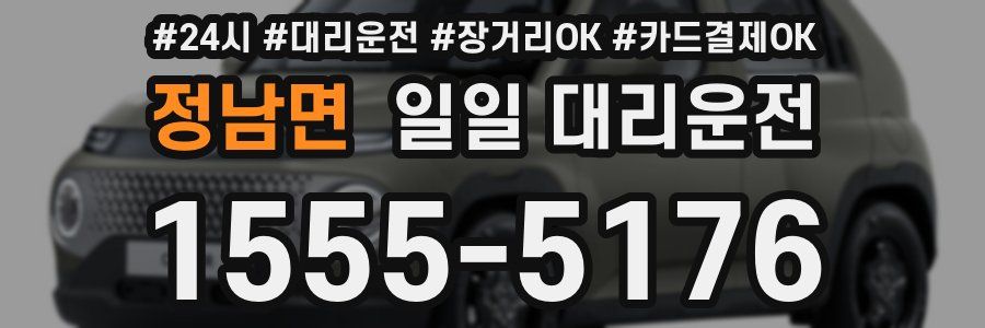 정남면 일일 대리운전