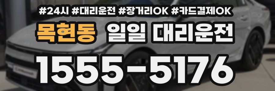 목현동 일일 대리운전