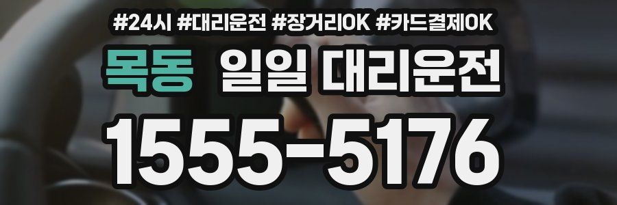 목동 일일 대리운전