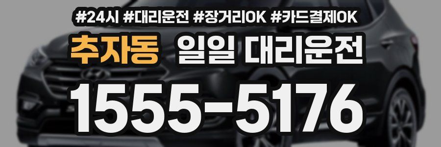 추자동 일일 대리운전