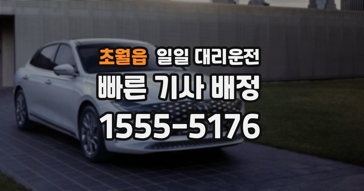 초월읍 일일 대리운전