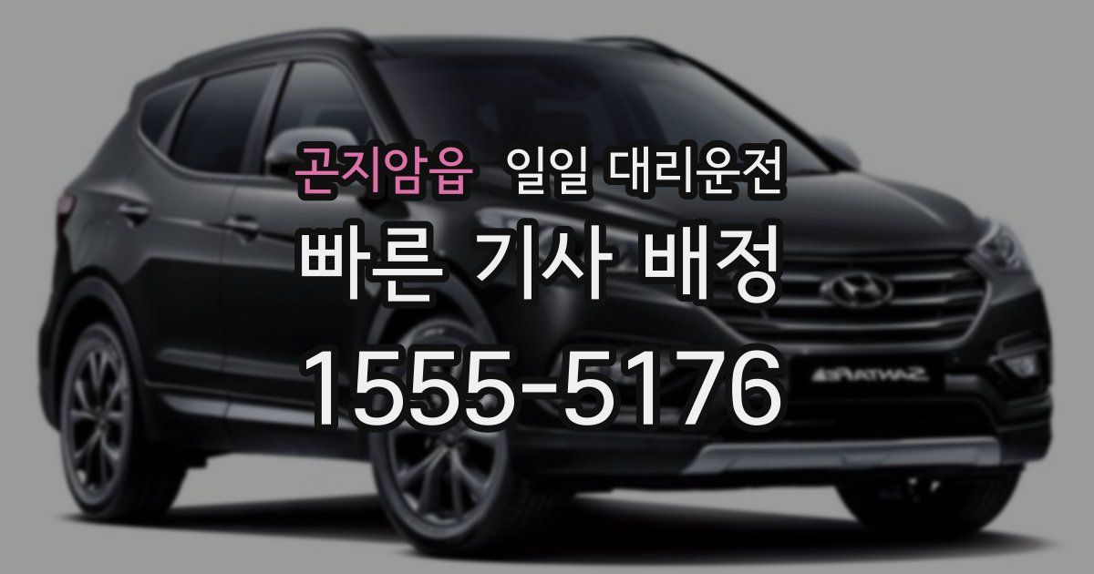 곤지암읍 일일 대리운전