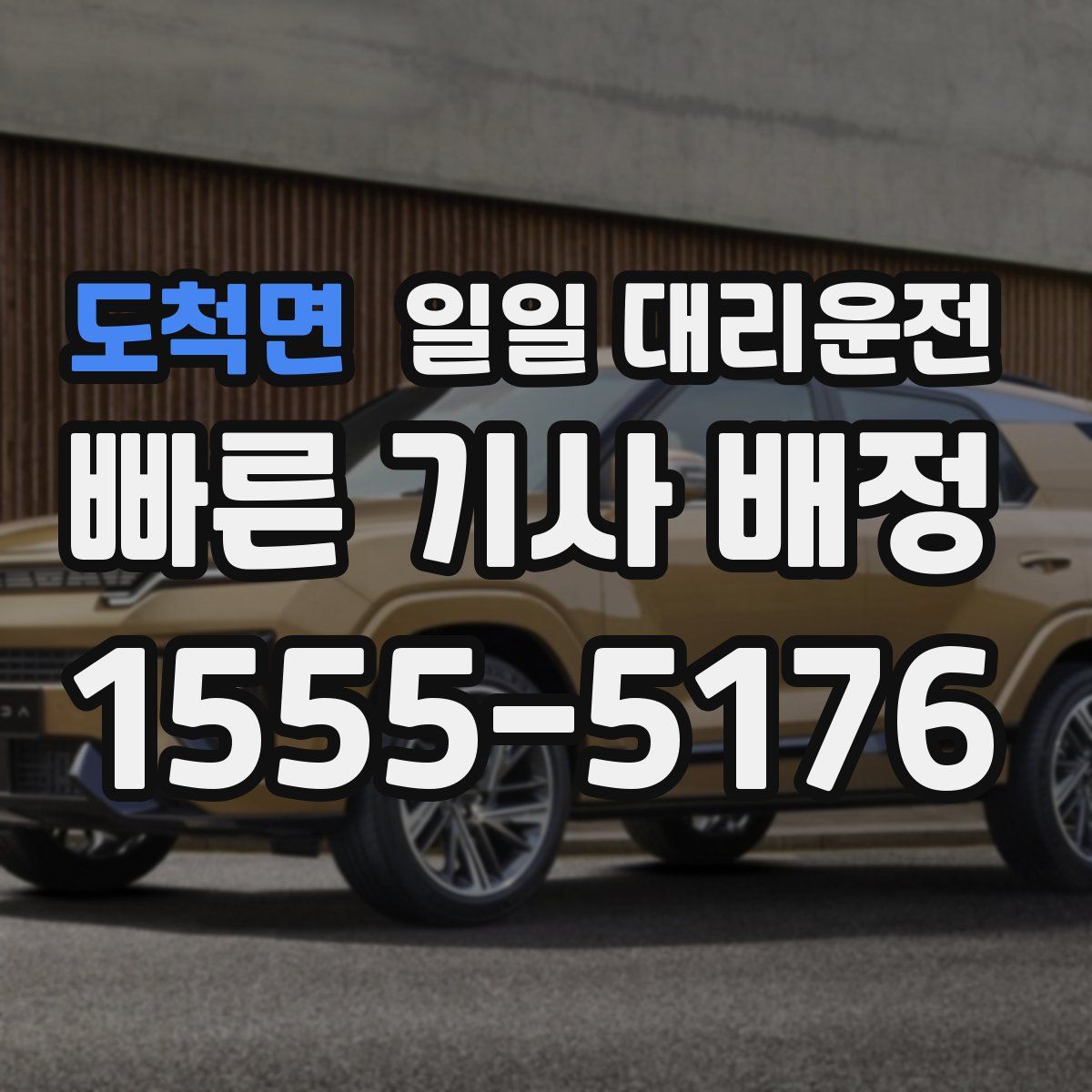 도척면 일일 대리운전