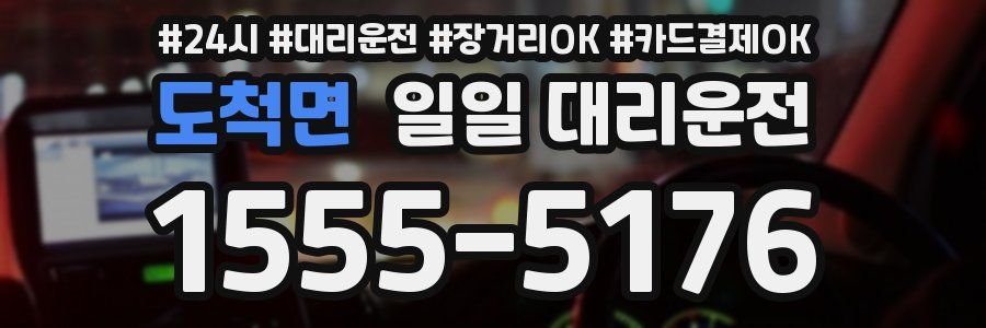 도척면 일일 대리운전