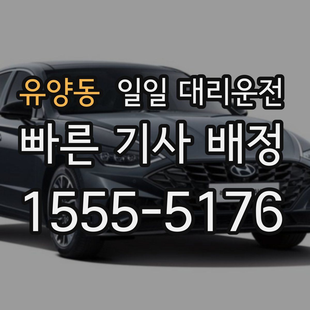 유양동 일일 대리운전
