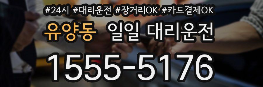 유양동 일일 대리운전