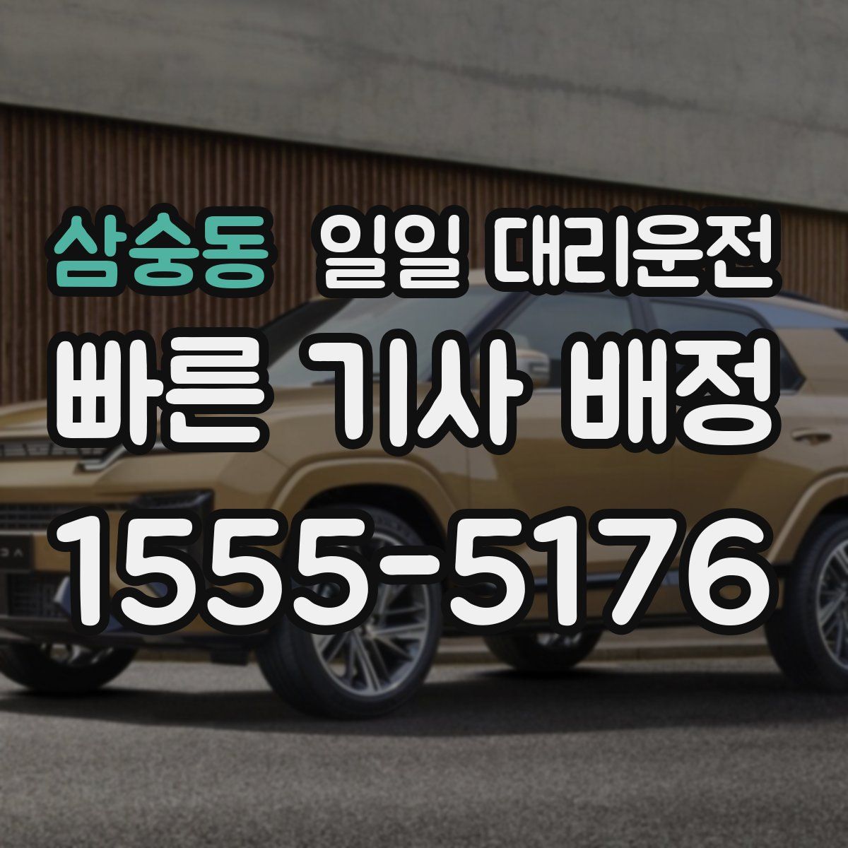 삼숭동 일일 대리운전