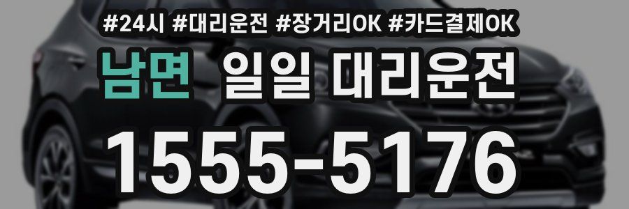 남면 일일 대리운전