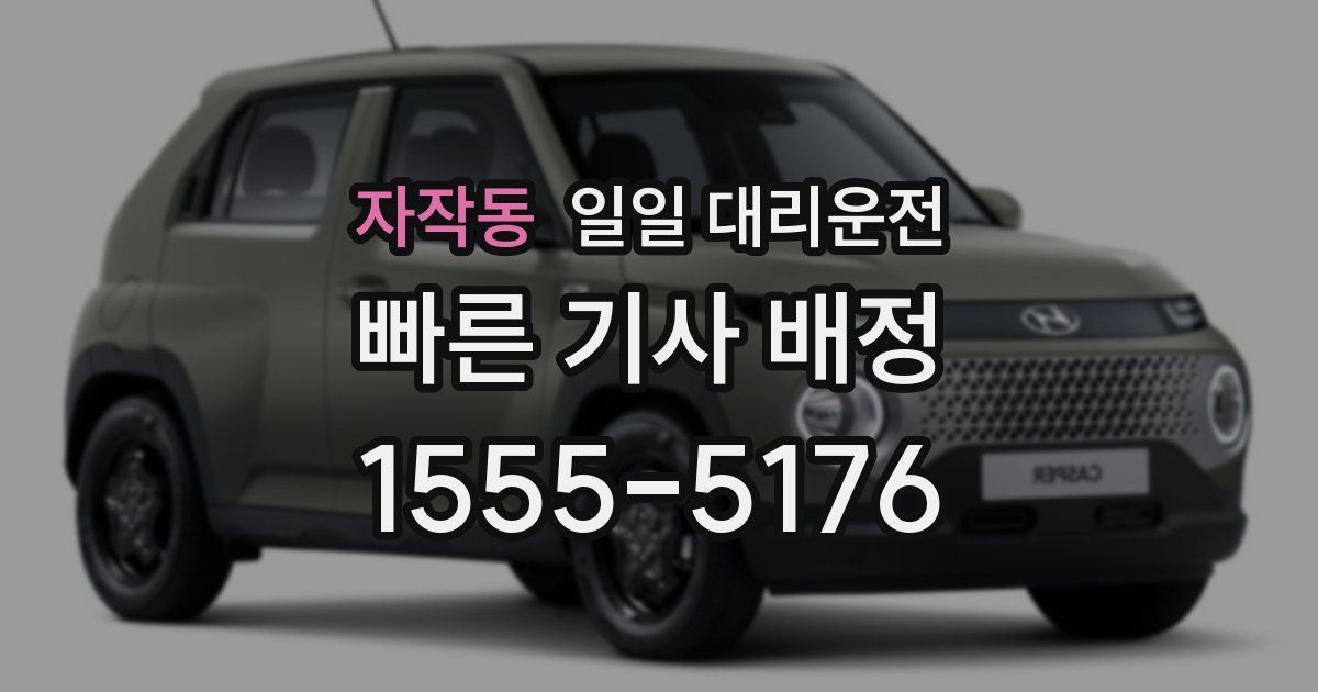 자작동 일일 대리운전