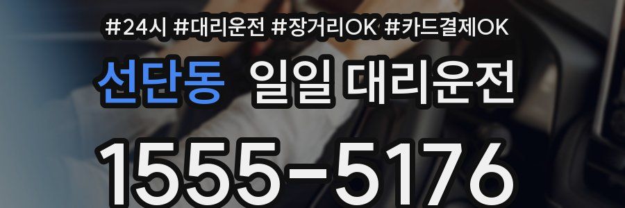 선단동 일일 대리운전