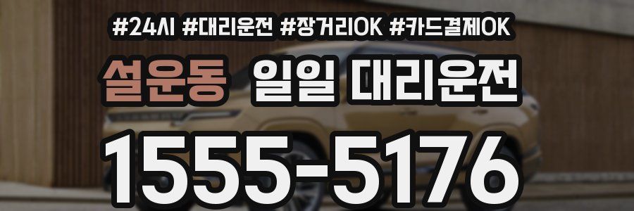 설운동 일일 대리운전