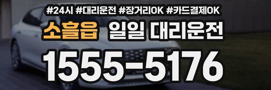 소흘읍 일일 대리운전