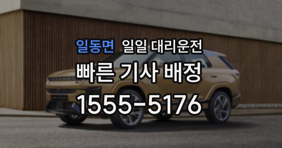 일동면 일일 대리운전