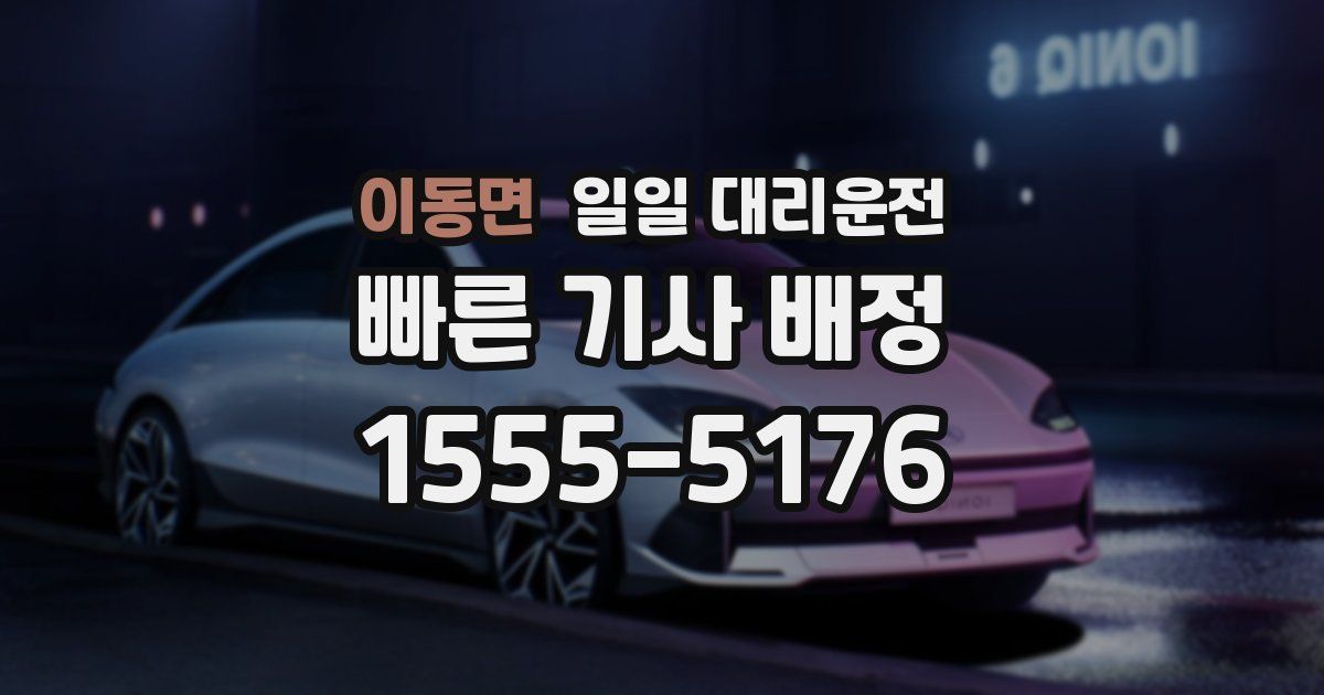 이동면 일일 대리운전