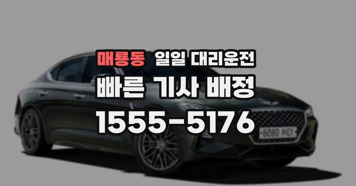 매룡동 일일 대리운전