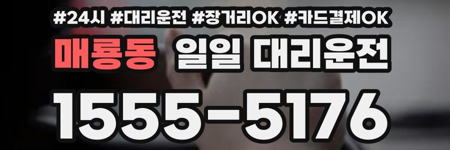 매룡동 일일 대리운전