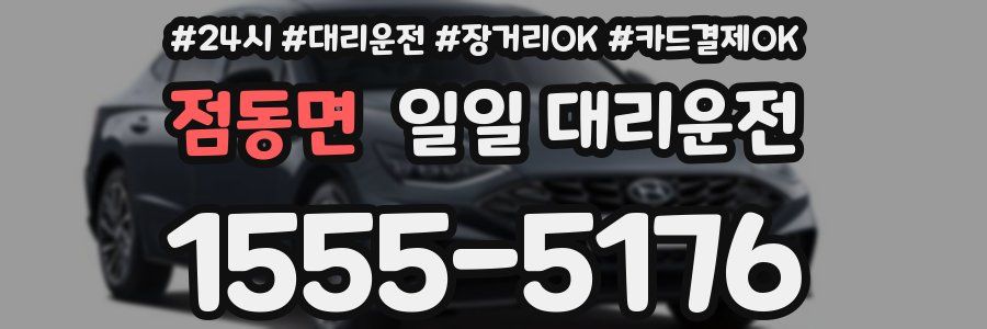 점동면 일일 대리운전